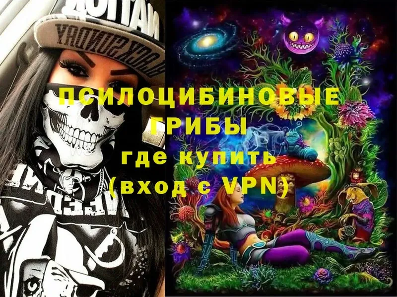 Псилоцибиновые грибы Magic Shrooms  где найти наркотики  Барнаул 